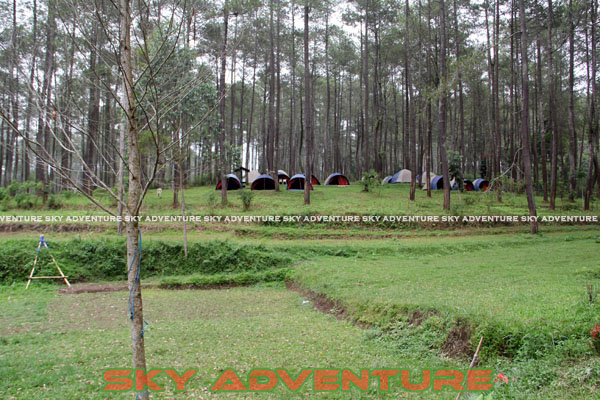 camping ground cikole lembang bandung jawa barat indonesia by Sky Adventure Indonesia (10)