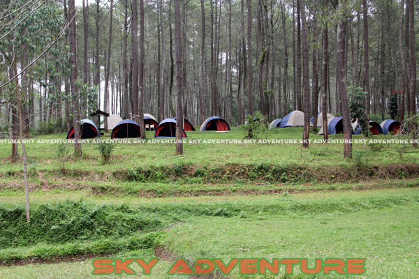 camping ground cikole lembang bandung jawa barat indonesia by Sky Adventure Indonesia (11)