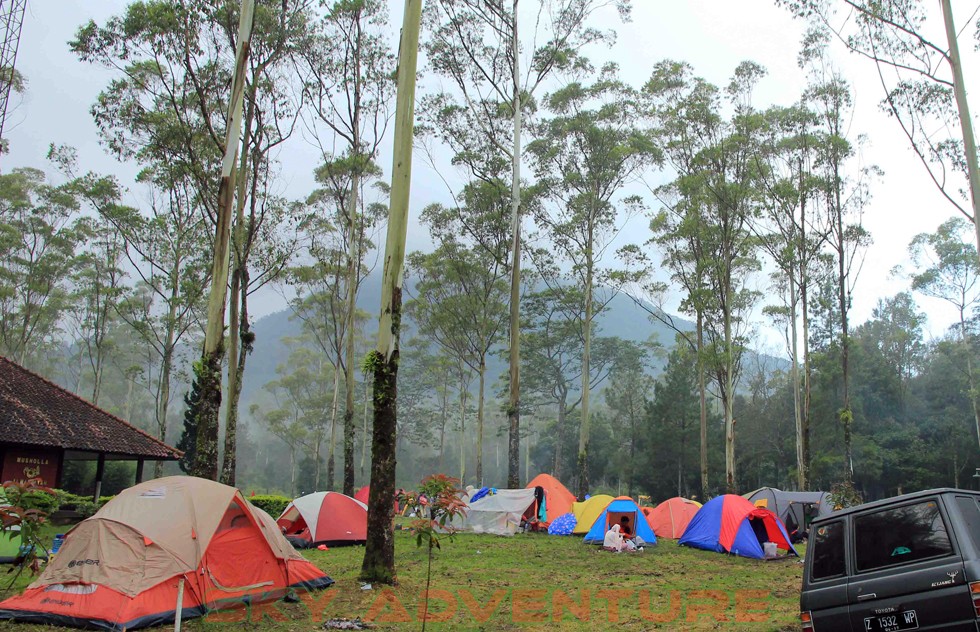 Camping Ranca Upas Ciwidey (4)